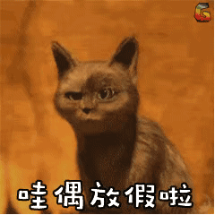 5df7754fc00f089b167d9f840a253d88.gif