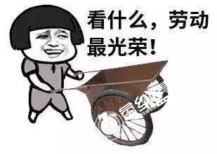 b09fe3eac2a99939b50db1fdcfce1871.jpg